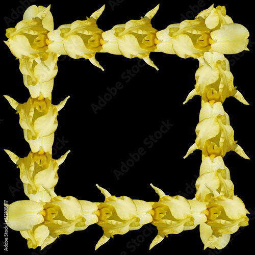 Fototapeta Naklejka Na Ścianę i Meble -  Beautiful floral background of irises. Isolated 