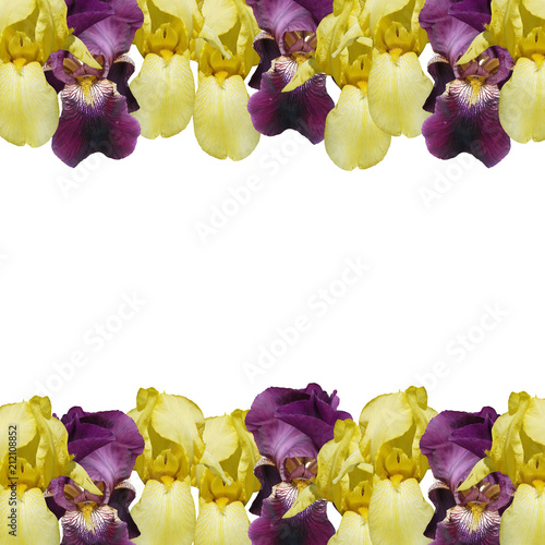 Fototapeta Naklejka Na Ścianę i Meble -  Beautiful floral background of irises. Isolated 