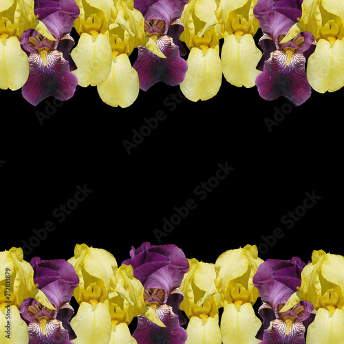 Fototapeta Naklejka Na Ścianę i Meble -  Beautiful floral background of irises. Isolated 