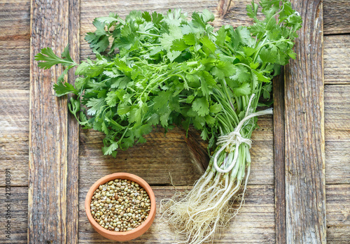 Fresh green cilantro, coriander leaves and dry seeds on wooden surface