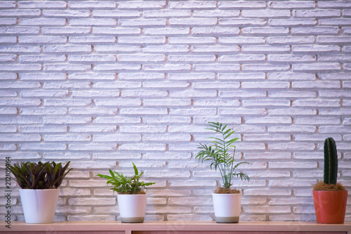 Flower pot background on table on white brick wall. © TEEREXZ