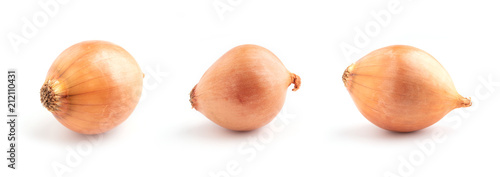 Onions isolated on white background.