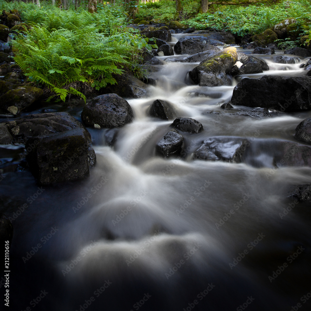 Fototapeta premium Soft forest stream
