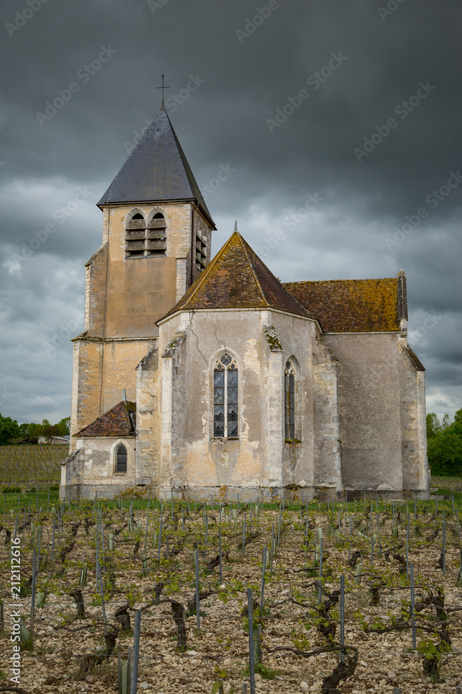 Vineyard and St Claire church in the Chablis region of Burgundy, France