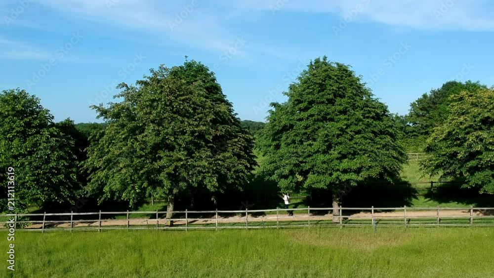 A interesting perspective of a boy running alongside a pathway of tress. The shot was filmed using a drone. A interesting perspective of a boy running alongside a pathway of tress. The shot was filmed using a drone.