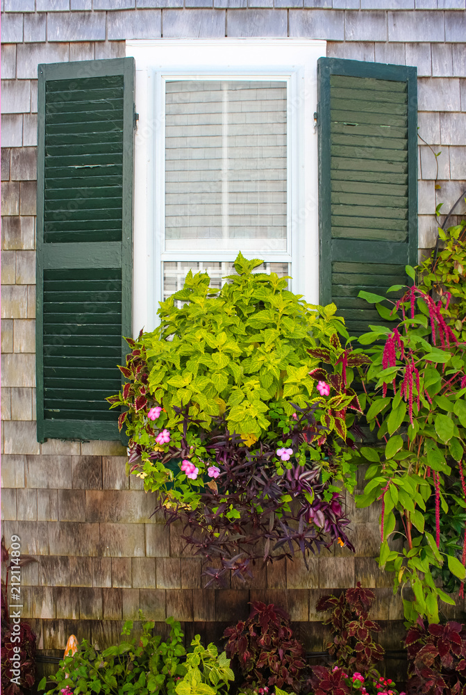 Window in rustic clapboard house with green shutters with window flower box full of beautiful plants Window in rustic clapboard house with green shutters with window flower box full of beautiful plants