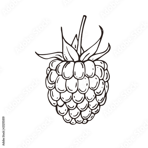 Hand drawn raspberries icon. Vector illustration