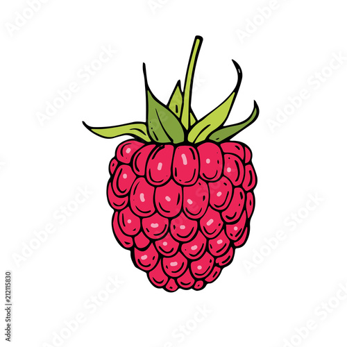 Hand drawn raspberries icon. Vector illustration