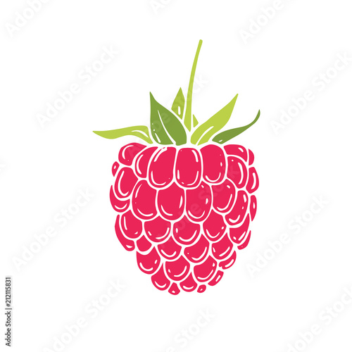 Hand drawn raspberries icon.