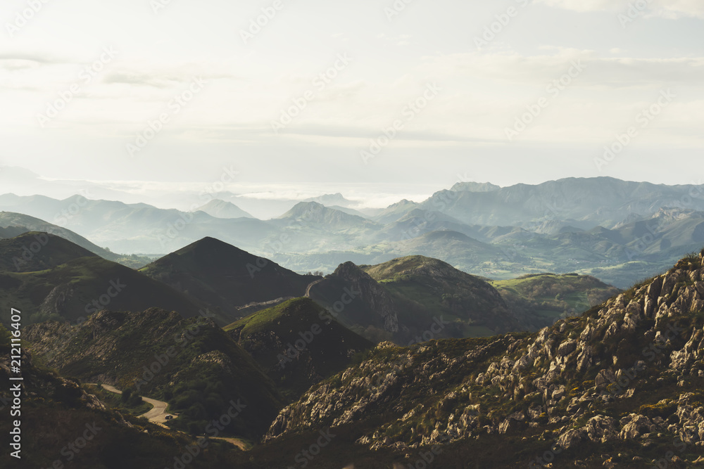 Fototapeta premium morning mist in the mountain peaks on natural landscape. Green valley on background foggy dramatic sky. Panorama horizon perspective view of scenery hills mountain tops. Travel concept