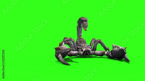 Animal Scorpio Attack Loop Front Green Screen 3D Rendering photo