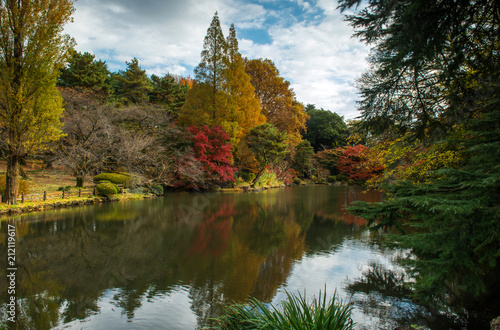 Fototapeta Naklejka Na Ścianę i Meble -  Japanese garden in Tokyo