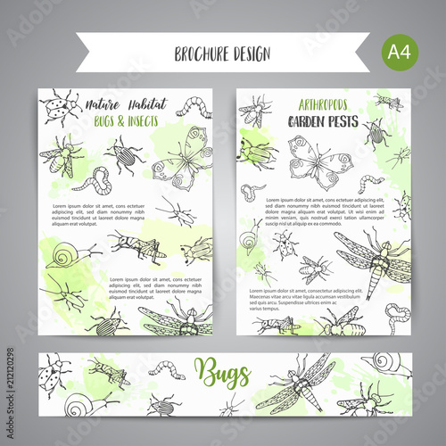 Bugs insects hand drawn banner. Pest control concept. Entomology poster Cartoon illustration of pests and bug. Vector illustration concept