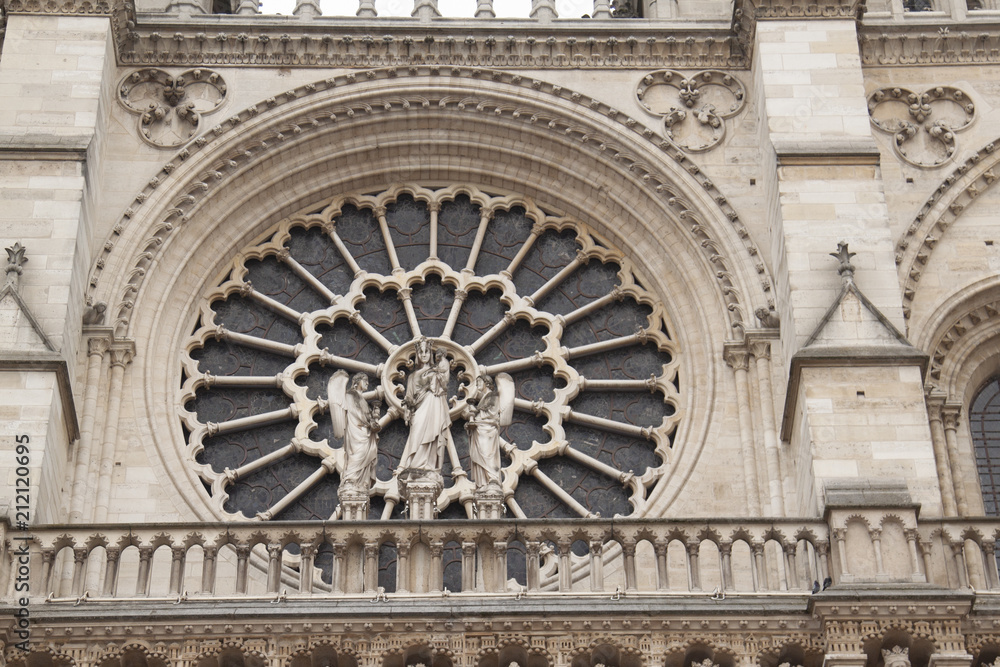 archi e gargoyle di Notre Dame Paris Francia