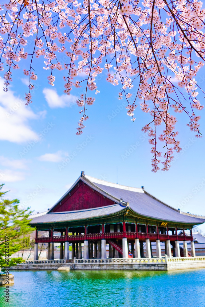 Fototapeta premium Widok na piękne kwiaty wiśni nad jeziorem w pałacu Gyeongbok wiosną w Seulu, w Korei Południowej.