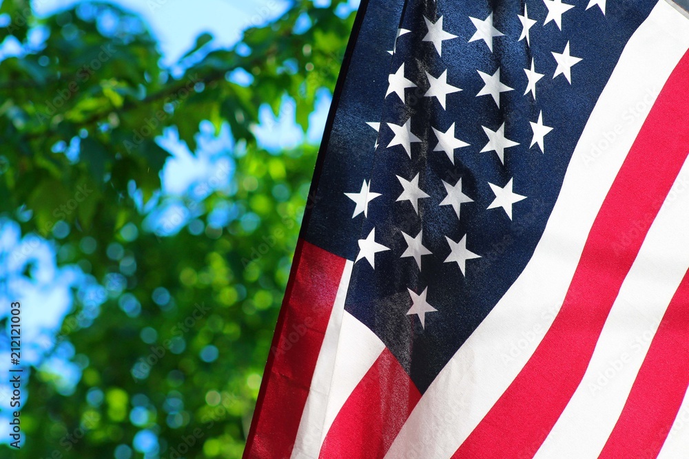 Fototapeta premium Flag