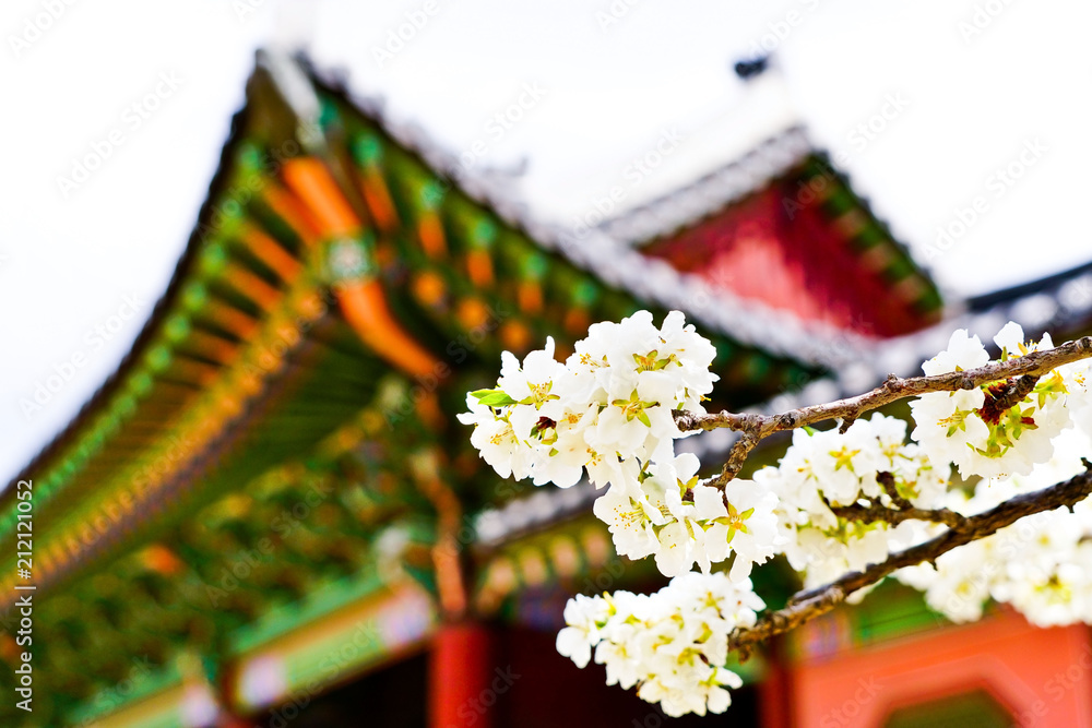 Naklejka premium Widok na piękne kwiaty wiśni w pałacu Gyeongbok wiosną w Seulu.