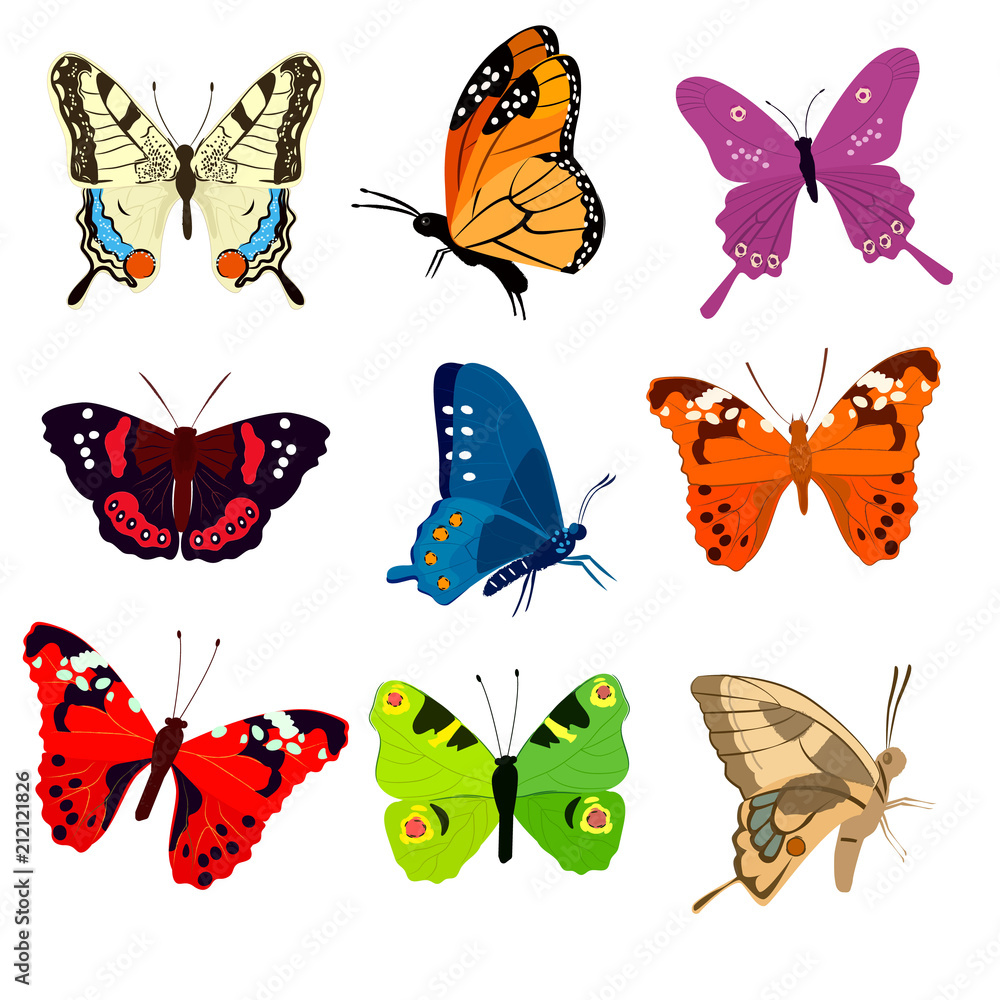 Naklejka Cute colorful butterflies with abstract pattern. Vector illustration isolated on white background.