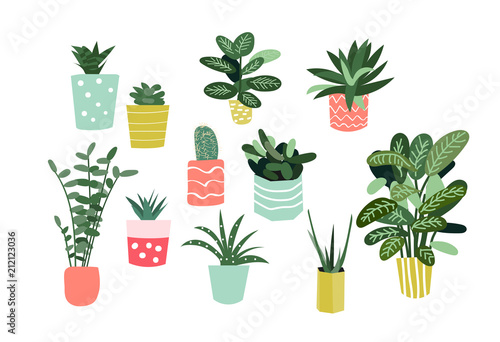 Canvas Print potted plants collection