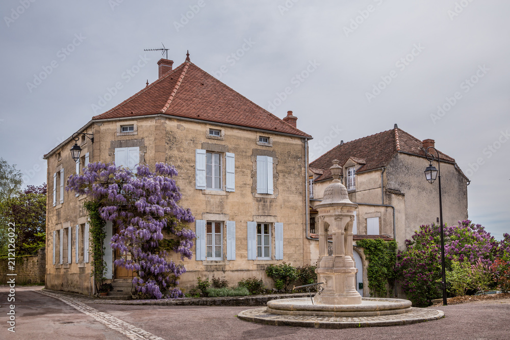 Wisteria growing up an old stone house in the picturesque town of Flavigny sur Ozerain, Burgundy, France