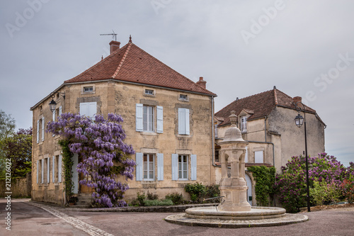 Wisteria growing up an old stone house in the picturesque town of Flavigny sur Ozerain, Burgundy, France © Michael Evans