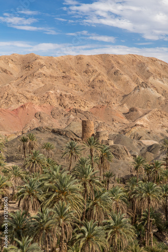 Palm Farms of Naybandan, Khorasan, Iran