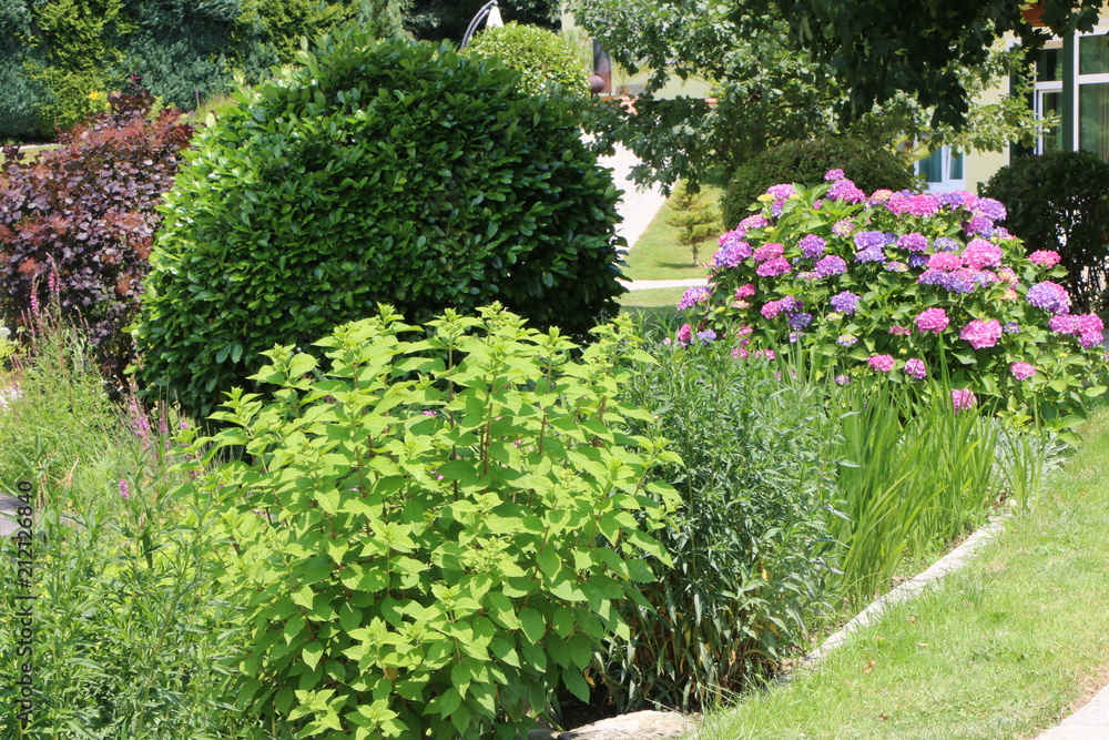 Summer Garden, Sommergarten, moderner und gepflegter Garten mit Stauden