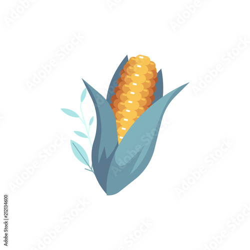 Cartoon corn cob with green leaves. Thanksgiving holiday and harvest symbol maize. Hand drawn farm, agriculture cereal, healthy dieting ingredient, nutrient. Vector isolated illustration.