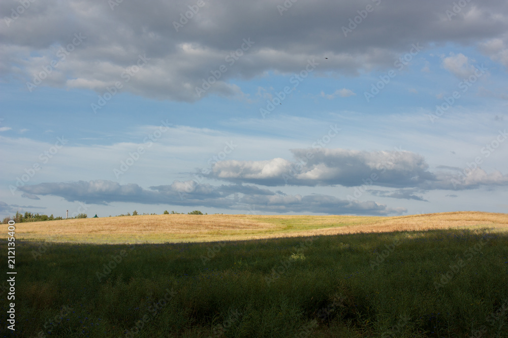 Summer landscape with a field before the sun is being cast, part of the field is lit, and part is in the shade. Background - the sky before the storm.