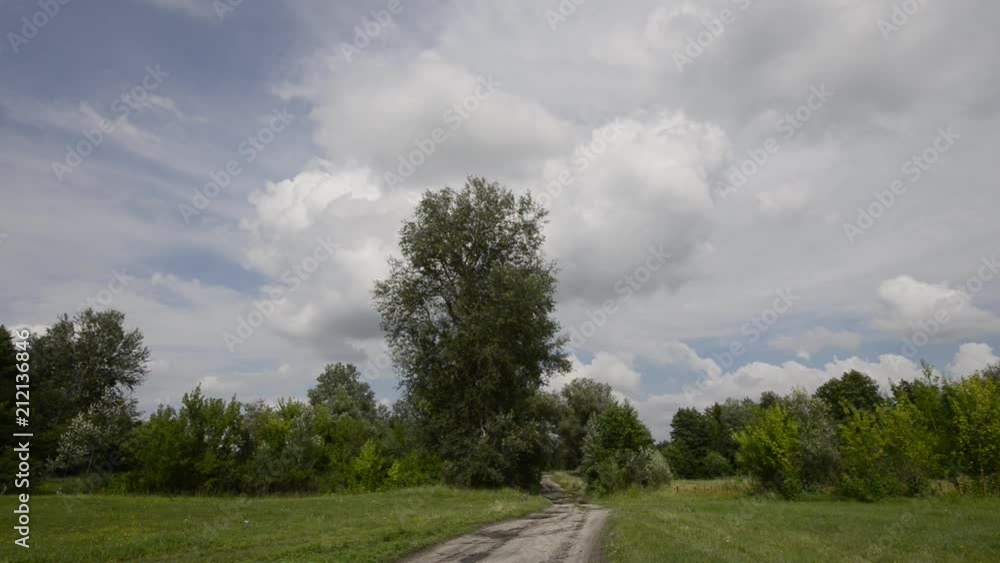 dirt road on a meadow and trees swaying in the wind against the background of clouds. dirt road on a meadow and trees swaying in the wind against the background of clouds.