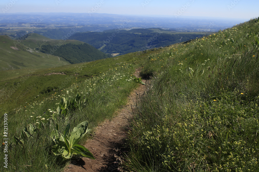 Fototapeta premium Les Vosges