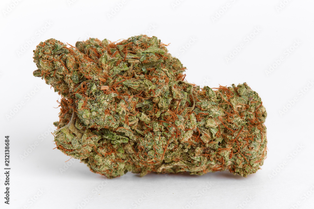 Close up of indica hybrid prescription medical and recreational marijuana flower buds isolated on white background Close up of indica hybrid prescription medical and recreational marijuana flower buds isolated on white background