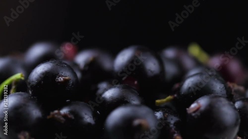 Black currants rotating on dark background. Close up macro.