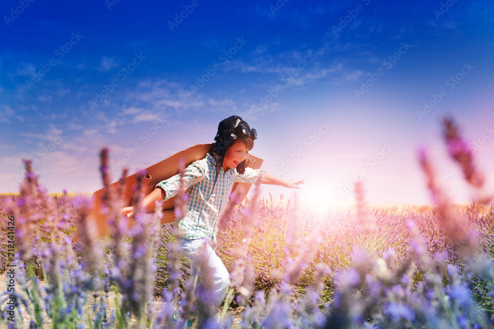 Εκτύπωση καμβά Boy pilot running through the lavender meadow