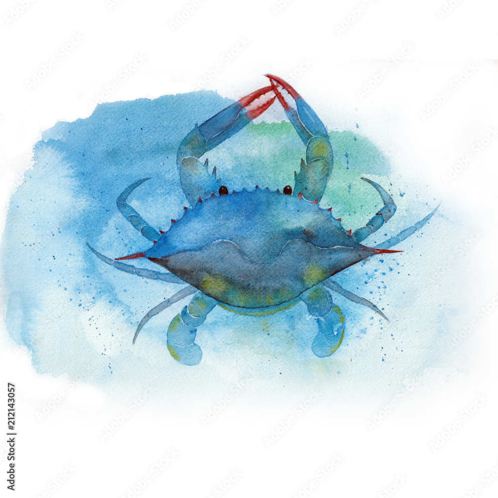 Watercolor Blue crab Stock Illustration | Adobe Stock