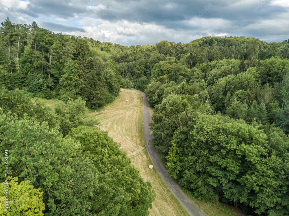 Aerial view of street through forest on summer evening