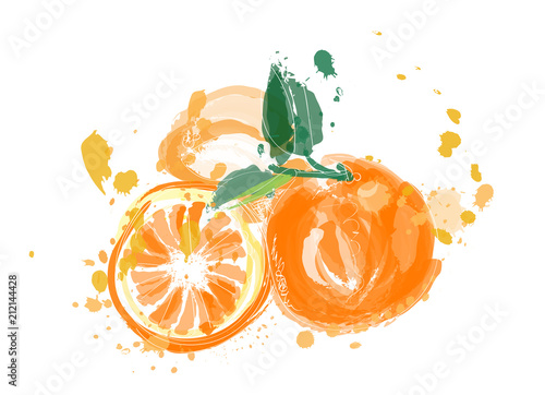 orange fruit vector illustration in watercolor paint. hand drawn citrus. 