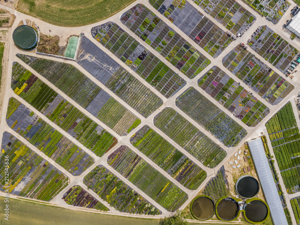 Fototapeta premium Aerial view of rows of cultivated young plants in plant nursery in Switzerland, Europe