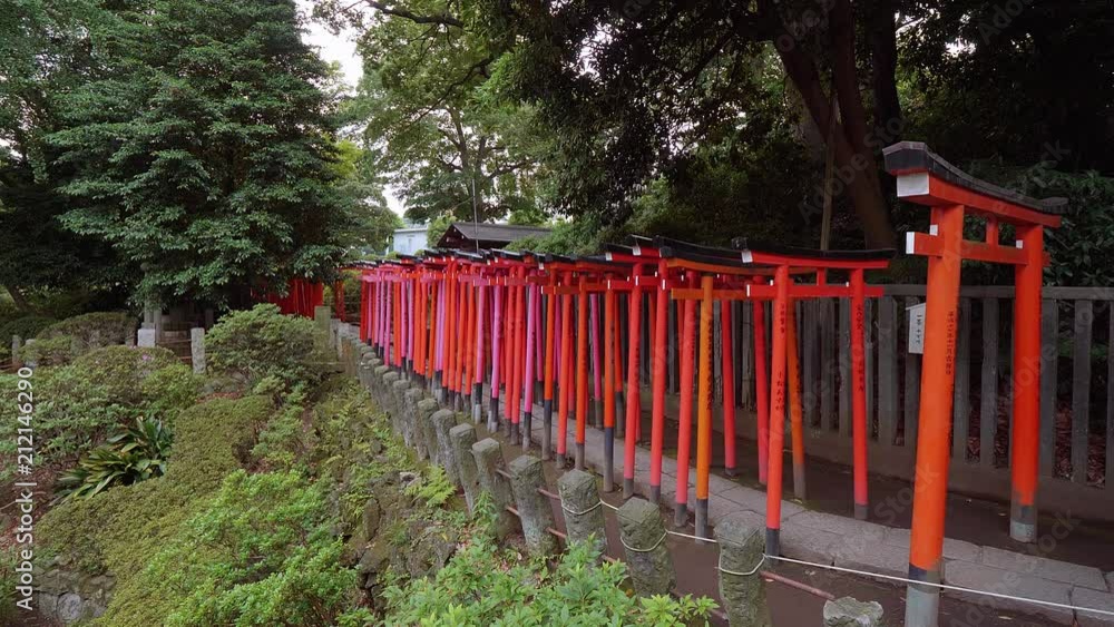 Impressive path covered by red gates at Nezu Jinja Shrine in Tokyo - TOKYO / JAPAN - JUNE 17, 2018 Impressive path covered by red gates at Nezu Jinja Shrine in Tokyo - TOKYO / JAPAN - JUNE 17, 2018