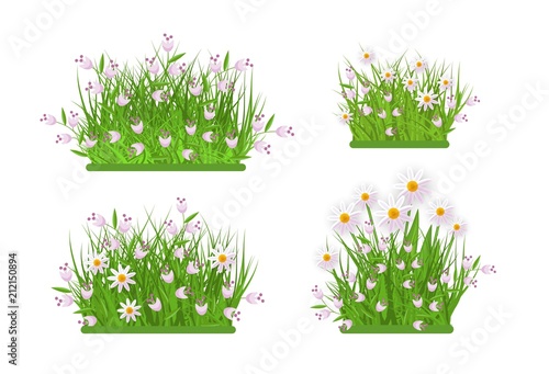 Daisy, chamomile and bellflowers on green meadow grass leaves bush icon set. Spring summer object for retail, sale poster and advertising design. Vector isolated illustration