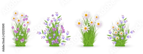 Daisy, chamomile, cornflower and bellflower on green meadow grass leaves bush icon set. Spring summer flower object for retail, sale poster and advertising design. Vector isolated illustration © sabelskaya