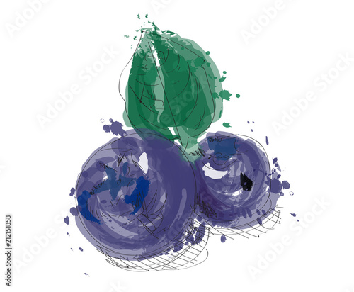 blueberry watercolor illustration. vector blueberry hand drawn painting. 