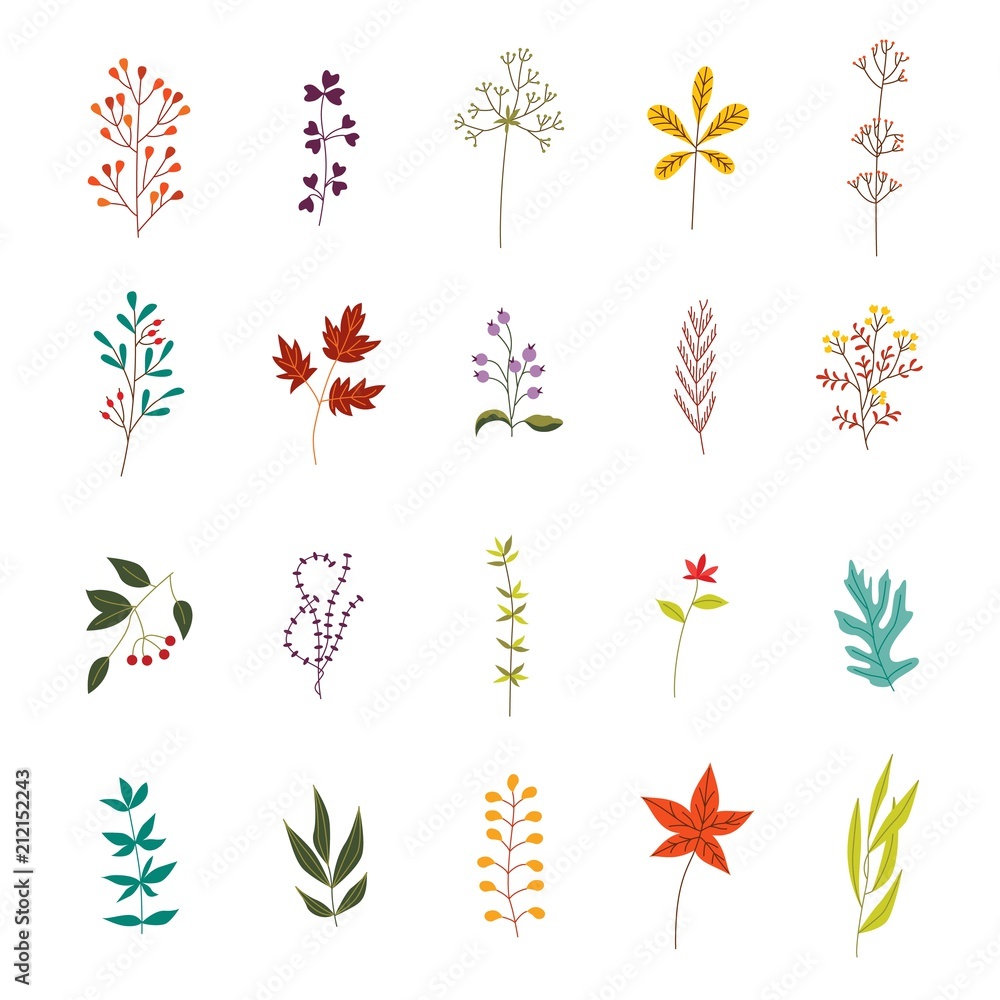 Autumn plants and leaves set with various foliage and branches decorative elements isolated on white background - beautiful fall seasonal objects for your design in flat vector illustration.