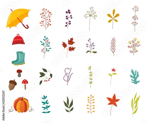 Autumn plants and clothes accessories set with various foliage and wear decorative elements isolated on white background - beautiful fall seasonal objects in flat vector illustration.