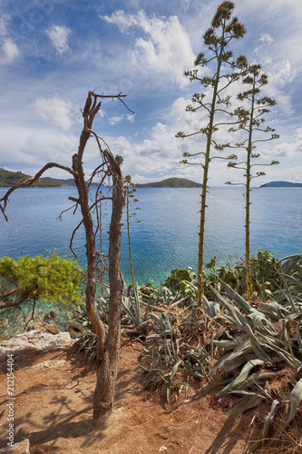 Paradise lost on Skiathos Greece © miriristic