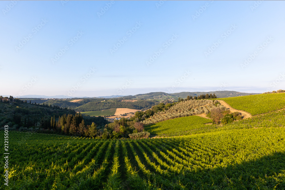 Fields in Chianti, a region in tuscany known for is scenic vineyards.
