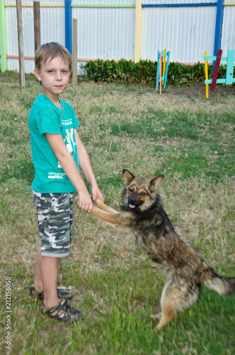 boy with dog playing selective focus photo