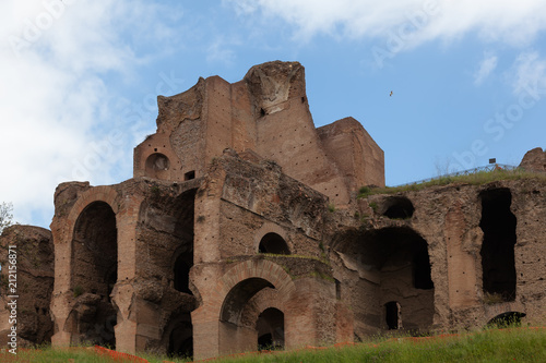 Ruins of Palatine hill palace in Rome, Italy (Circus Maximus) © liquid studios