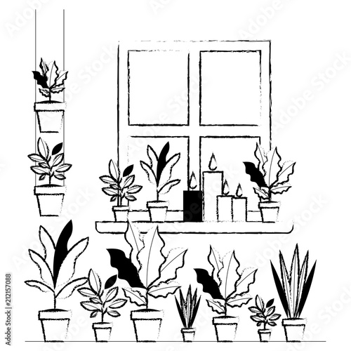 window house with houseplants scene vector illustration design