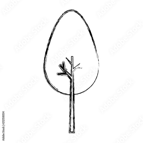 tree plant isolated icon vector illustration design